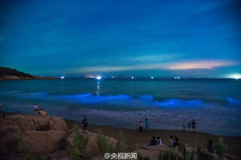 王莉霞在参加包头市代表团审议时说 对标先进 晋位升级 全力打造现代化工业高地