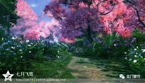 家门口的“村晚”真热闹
