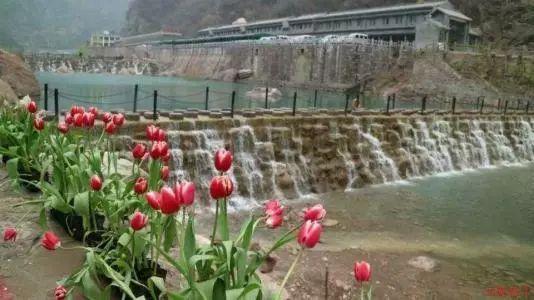 中世纪小镇找不同