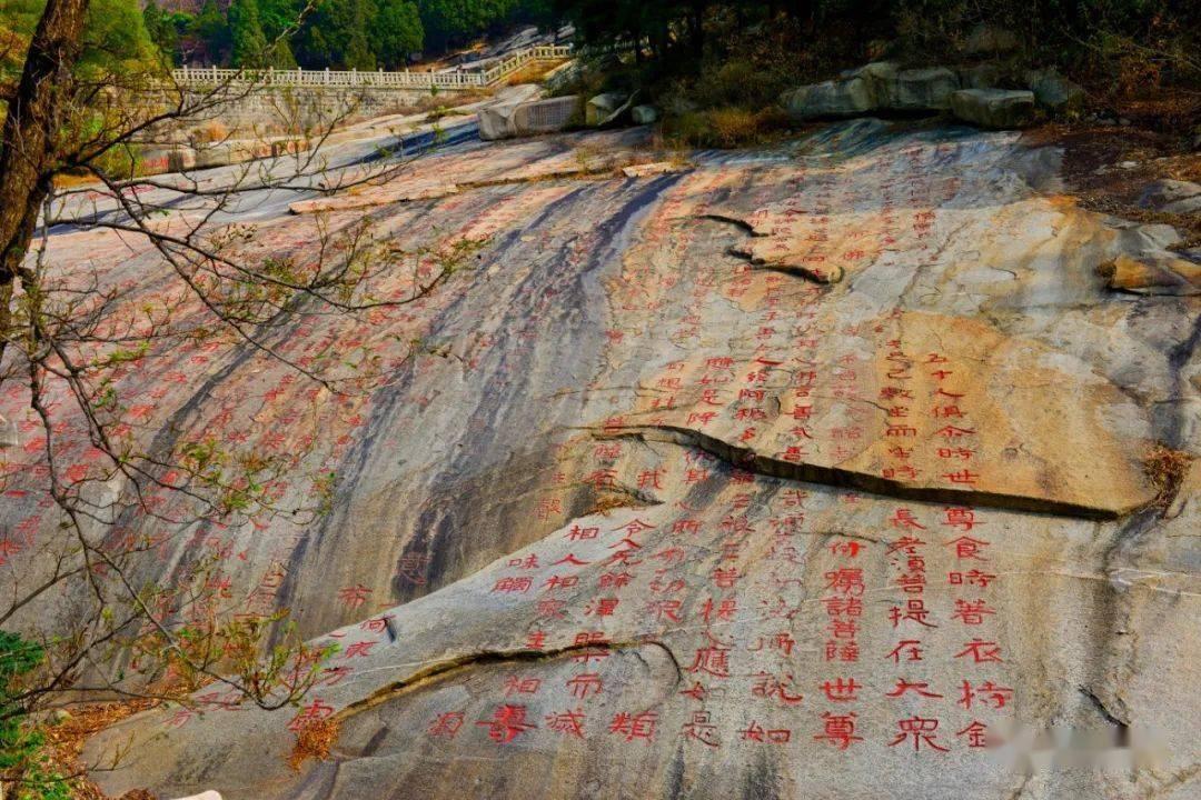 两会新视野｜贾龙：建议完善智能网联车法律法规 健全产业支持保障体系 扫码阅读手机版