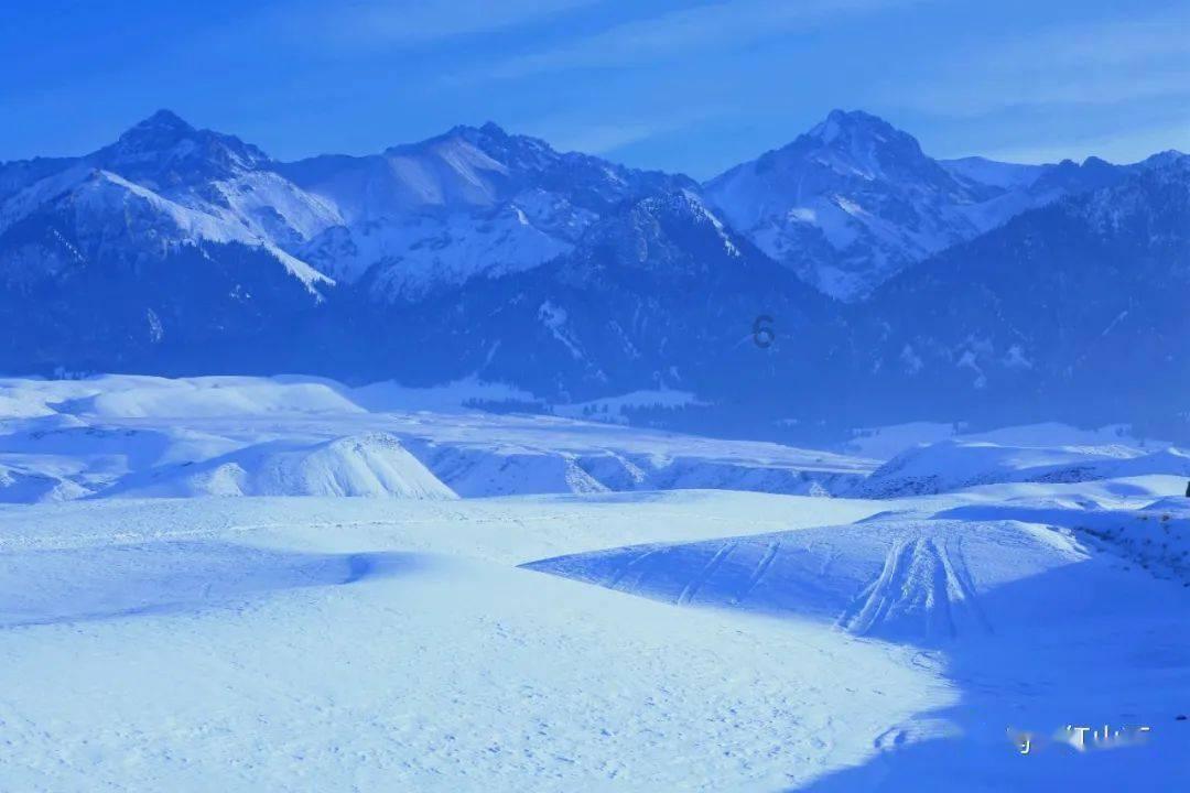 逃离潮湿的房屋